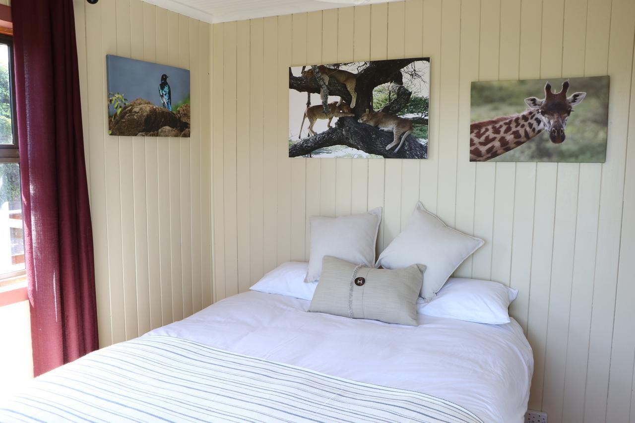 Allan Grove Knysna Exterior foto